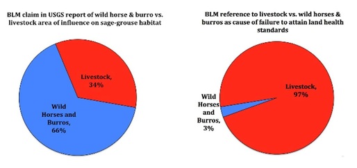 Livestock Wild Horses Burros