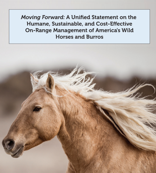 Stand With the Wild Horses