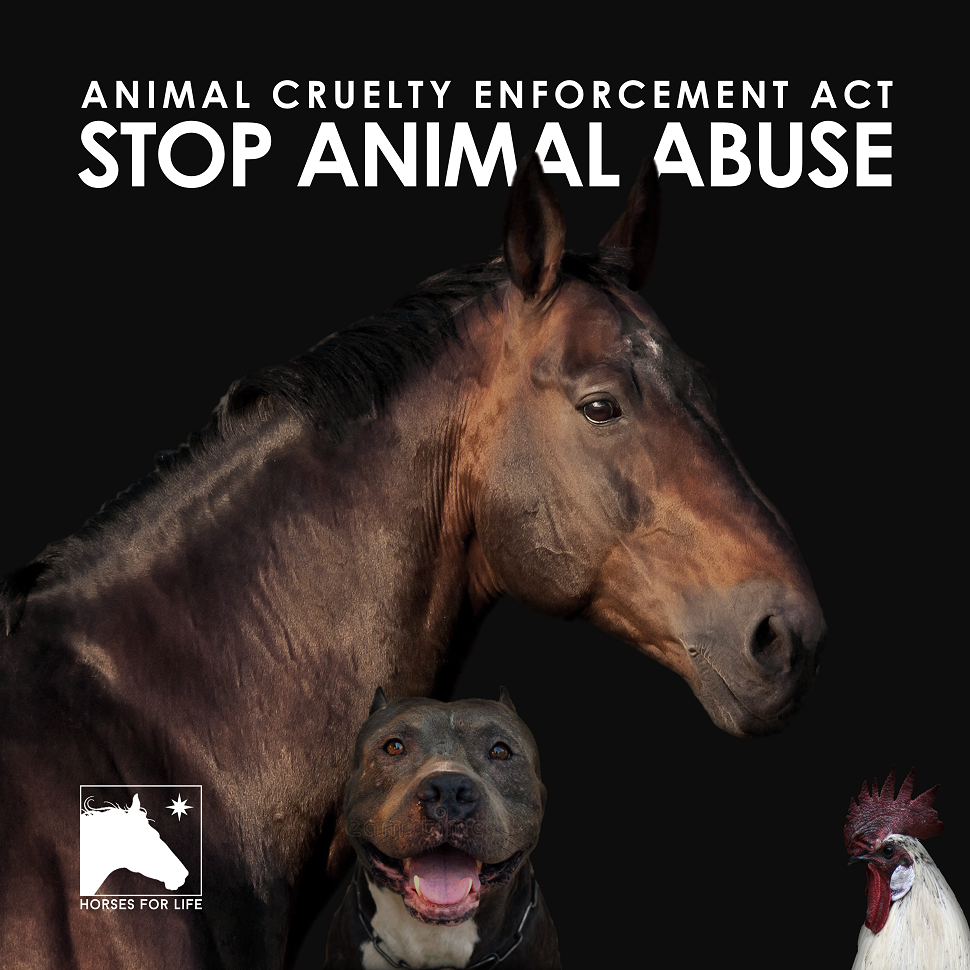 Animal Cruelty Enforcement Act, ACE Act