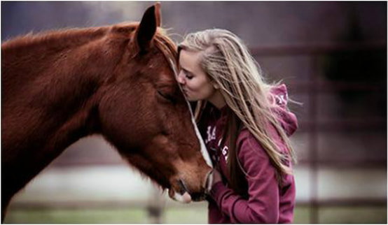 Adopt Don't Shop, Horses