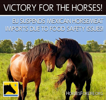 Horsemeat Mexico EU