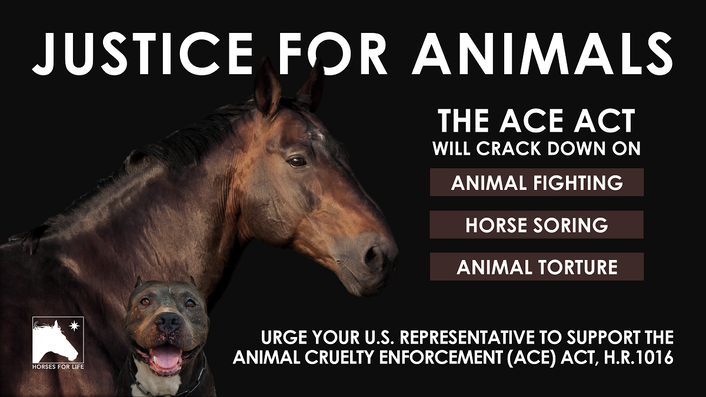 Animal Cruelty Enforcement Act