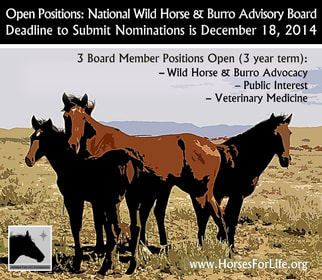 Wild Horse Burro Advisory Board BLM
