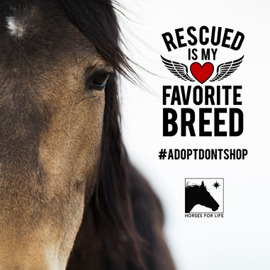 Adopt Don't Shop, Horses, Horse Rescue