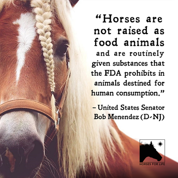 Save America’s Forgotten Equines (SAFE) Act 